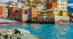 Donne Single a Genova